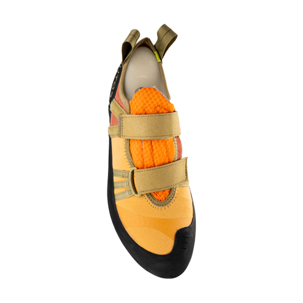 부토라 엔데버 시에라 골드 암벽화 BUTORA ENDEAVOR SIERRA GOLD